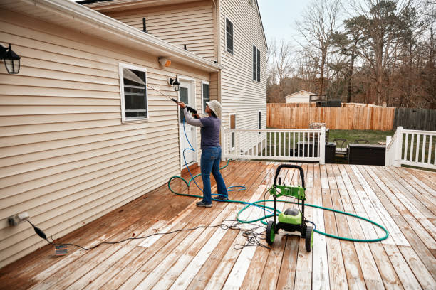 Best Residential Pressure Washing Services  in Peridot, AZ