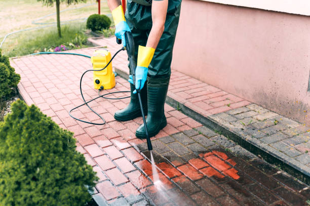 Best Roof Power Washing Services  in Peridot, AZ