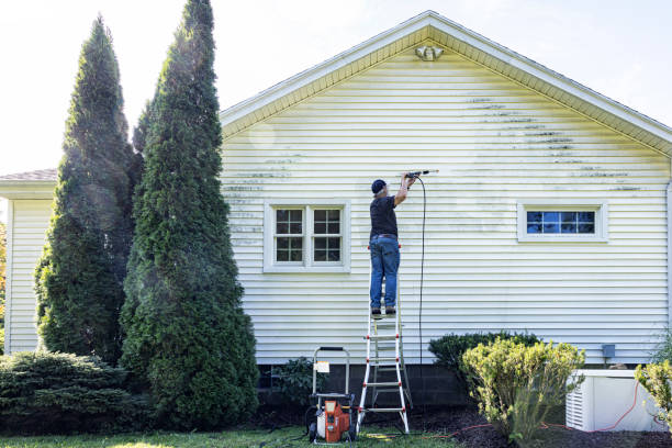 Trusted Peridot, AZ Pressure Washing Experts