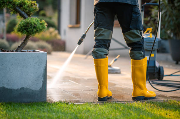 Best Affordable Pressure Washing  in Peridot, AZ